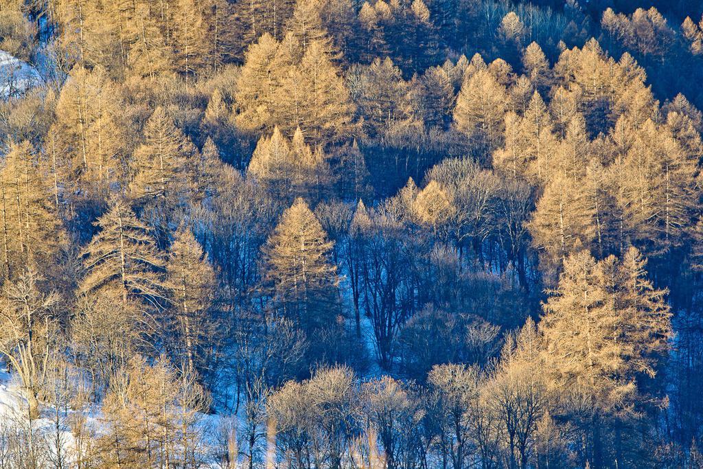 Rock Noir & Spa La Salle-les-Alpes Exteriér fotografie